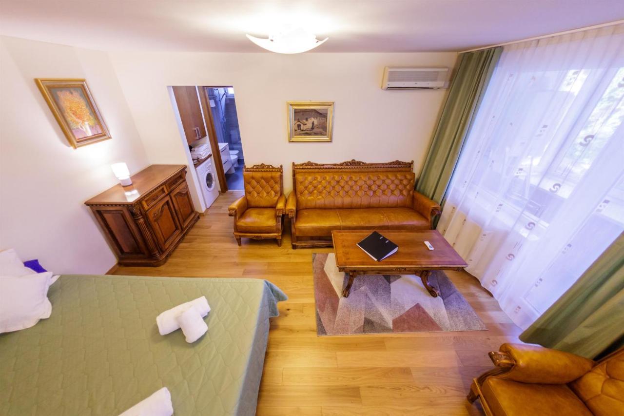 Apartament Family Rivulus 8 Baia Mare Esterno foto